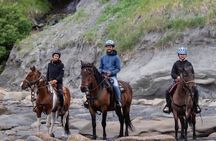 Beach Horse Riding Experience in Homer