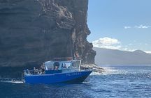 2 Tank Molokini Back Wall Drift Anchor Dive