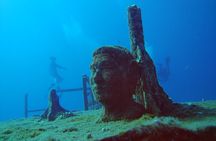 2 Tank Molokini Back Wall Drift Anchor Dive