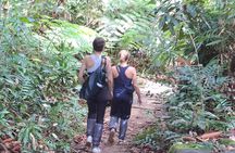 03 Days Sinharaja Rainforest Private Tour - All Including