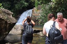 03 Days Sinharaja Rainforest Private Tour - All Including