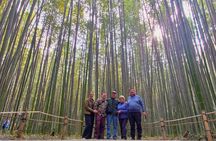 Arashiyama & Golden Pavilion UNESCO Slow Cycling Tour