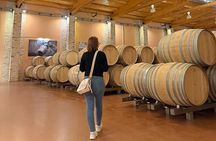From Madrid to Ribera del Duero Vineyards and Towns Reconditos