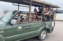 Big Five Safari at Schotia Private Game Reserve in Port Elizabeth