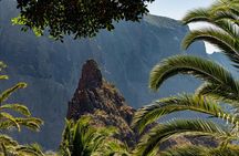 Tenerife Highlights Icod Garachico and Masca Valley