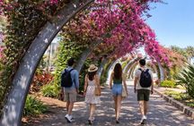 Luxury 6 Hours Private Brisbane Tour See the City Top Highlights