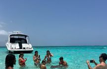 Luxury Private Speedboat Dolphin House Snorkeling Adventure