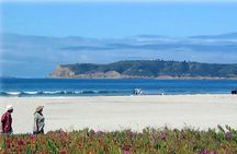 San Diego eBike Tours on Coronado