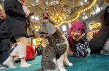 Full Day Istanbul Tour with Licensed Guide