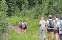 Emerald Basin Guided Hike in Yoho National Park