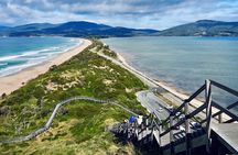 Bruny Island & The Margate Train: Food, Wildlife & Coastal View