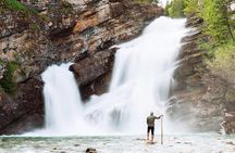 Waterton National Park and Bison Safari Tour