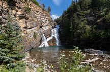 Waterton National Park and Bison Safari Tour