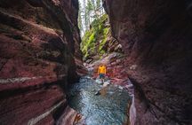 Waterton National Park and Bison Safari Tour