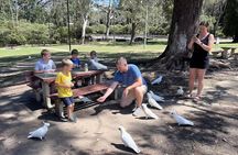 Blue Mountains Mercedes Tour: Cockatoos, Cascades & Scenic World