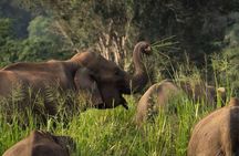 Sri Lanka Jeep Safari and Tours Experience