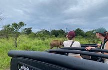 Sri Lanka Jeep Safari and Tours Experience