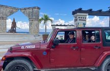 Private Tour in Cozumel with Snorkeling from the Shore