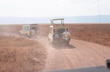 Ngorongoro Crater Day Trip