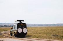 2 Days Akagera National Park Safari Retreat