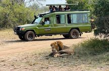 2 Days Akagera National Park Safari Retreat