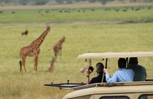 2 Days Akagera National Park Safari Retreat