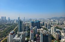 Shenzhen Evolution: History, Culture & Skyline Views