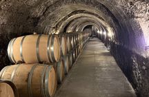 From Madrid to Ribera del Duero Vineyards and Towns Reconditos