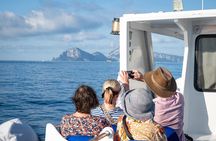 Capri, Anacapri and Grottoes Full Day Island Escape from Sorrento