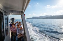 Capri, Anacapri and Grottoes Full Day Island Escape from Sorrento