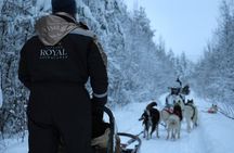 Rovaniemi Lapland Husky Experience 5km