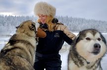 Husky Ride, Reindeer Ride and Ice Fishing One Day Experience