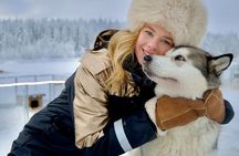 3 Days Lapland Aurora with Huskies and Reindeer Experience