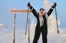 Trip to Riisitunturi National Park