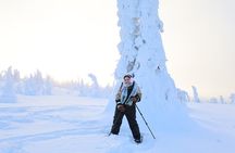 Trip to Riisitunturi National Park