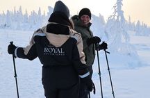 Trip to Riisitunturi National Park