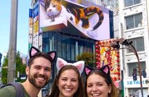 Tokyo Gotokuji Cat Temple and Shinjuku Cat Cafe, Giant 3D Cat