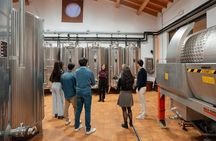 Wine tasting with cellar tour between Verona and Lake Garda