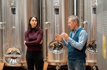 Wine tasting with cellar tour between Verona and Lake Garda