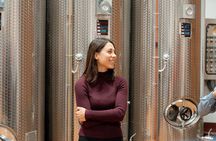 Wine tasting with cellar tour between Verona and Lake Garda