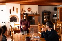 Wine tasting with cellar tour between Verona and Lake Garda