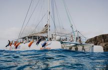 Catamaran Experience to Papagayo's Beaches with lunch and drinks