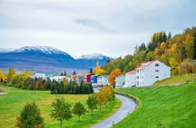 Akureyri Port: Small Group Godafoss and Laufas Turf House Tour