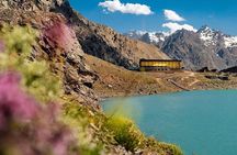 Portillo and Laguna Del Inca, Exclusive Guide and Private Transfer