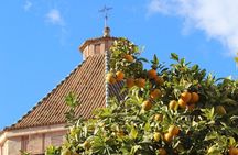 Malaga Old Town Walking Tour: Local Life and Hidden Corners