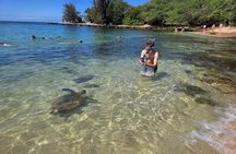 North Shore Circle Island Adventure