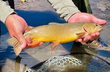 Private Fly Fishing Adventure in the Jackson Hole Backcountry