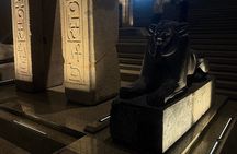 Private Tour at the Grand Egyptian Museum and the Galleries