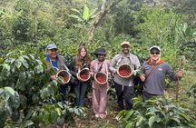 2 Day Coffee Route Tour from Cusco Private Service