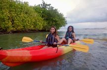 Fajardo Bio Bay Guided Kayak Tour
